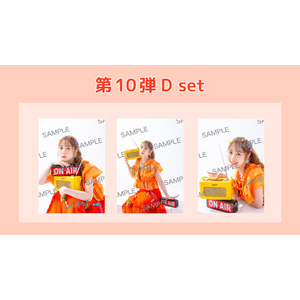 オリジナル生写真<第10弾 D set>